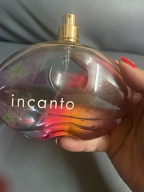 shadow影子-FERRAGAMOIncanto Shine_1