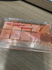 Cici Wong-CLIO10色眼影組合_1