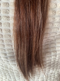 CC1997-Dove 多芬胜肽修護髮膜(小金碗)_3