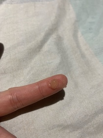 Emma W-ESTEE LAUDER升級再生基因修復眼霜_2