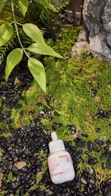 SzeChan-INNISFREE維他命C綠茶酵素透亮精華_1