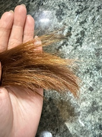 Foksum-PANTENEPRO-V 爆水珠珠髮膜 (強韌防斷)_3