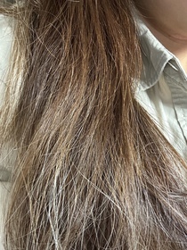 Bernice Chan -EssentialEssential Premium 18 – MEA 髮の屏障 絲滑柔順護髮素_2