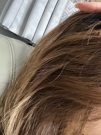 Bernice Chan -EssentialEssential Premium 18 – MEA 髮の屏障 絲滑柔順護髮素_3