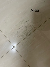 CandyLiYing-YVES ROCHER防脫豐盈精華_1