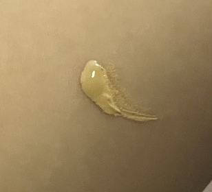 飯焦-Benefit反孔精英無PORE粉底_4