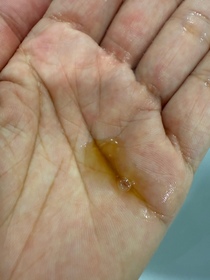 GinGin-JOSERISTINE 彩豐暖薑驅風滋養沐浴露_1