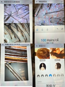 Cherrie-L'Occitane en Provence草本療法防掉髮頭皮護理精華_1