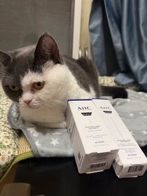 Agnes-AHC醫美科研水光導入玻尿酸全臉眼霜 #水光微整全臉眼霜_1