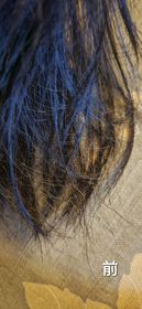 sylsylsyl-PANTENE3秒奇蹟髮油 (茉莉山茶)_2