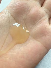 Kitty -ESTEE LAUDER升級再生基因修復精華_2