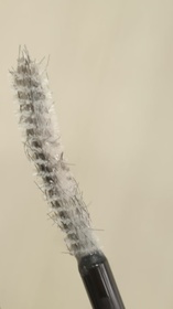 Emily Leung-KATE TOKYO極致大眼睫毛底膏_1