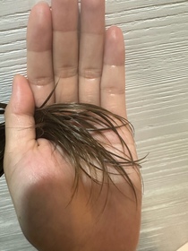 zetalhc-PANTENE3秒奇蹟髮油 (茉莉山茶)_2