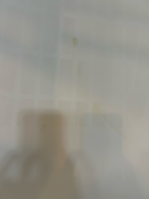 Hazel-Hair Recipe 防脫黑米瓶洗髮露_1