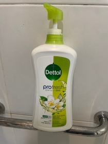 A&R-Dettol 滴露ProFresh清爽保濕沐浴露(綠茶與茉莉花香)_1