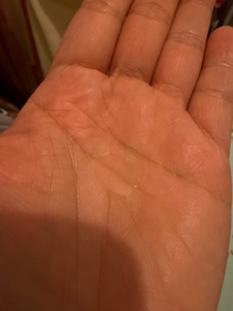 winniemaow-YVES ROCHER防脫豐盈精華_2