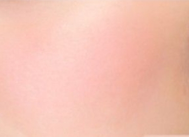 Tszki-PAUL & JOE BEAUTE雙色胭脂_2