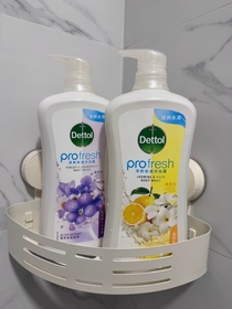 Tobimak-Dettol 滴露ProFresh清爽保濕沐浴露(紫羅蘭及洋甘菊)_1