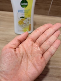 Sa Sa San-Dettol 滴露ProFresh清爽保濕沐浴露(柚子及茉莉花)_2