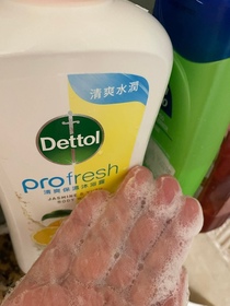 Nicole19-Dettol 滴露ProFresh清爽保濕沐浴露(水感蜜桃)_1