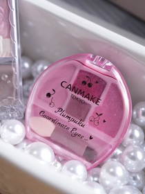 💕車車💕-CANMAKE TOKYO淚袋眼影_2